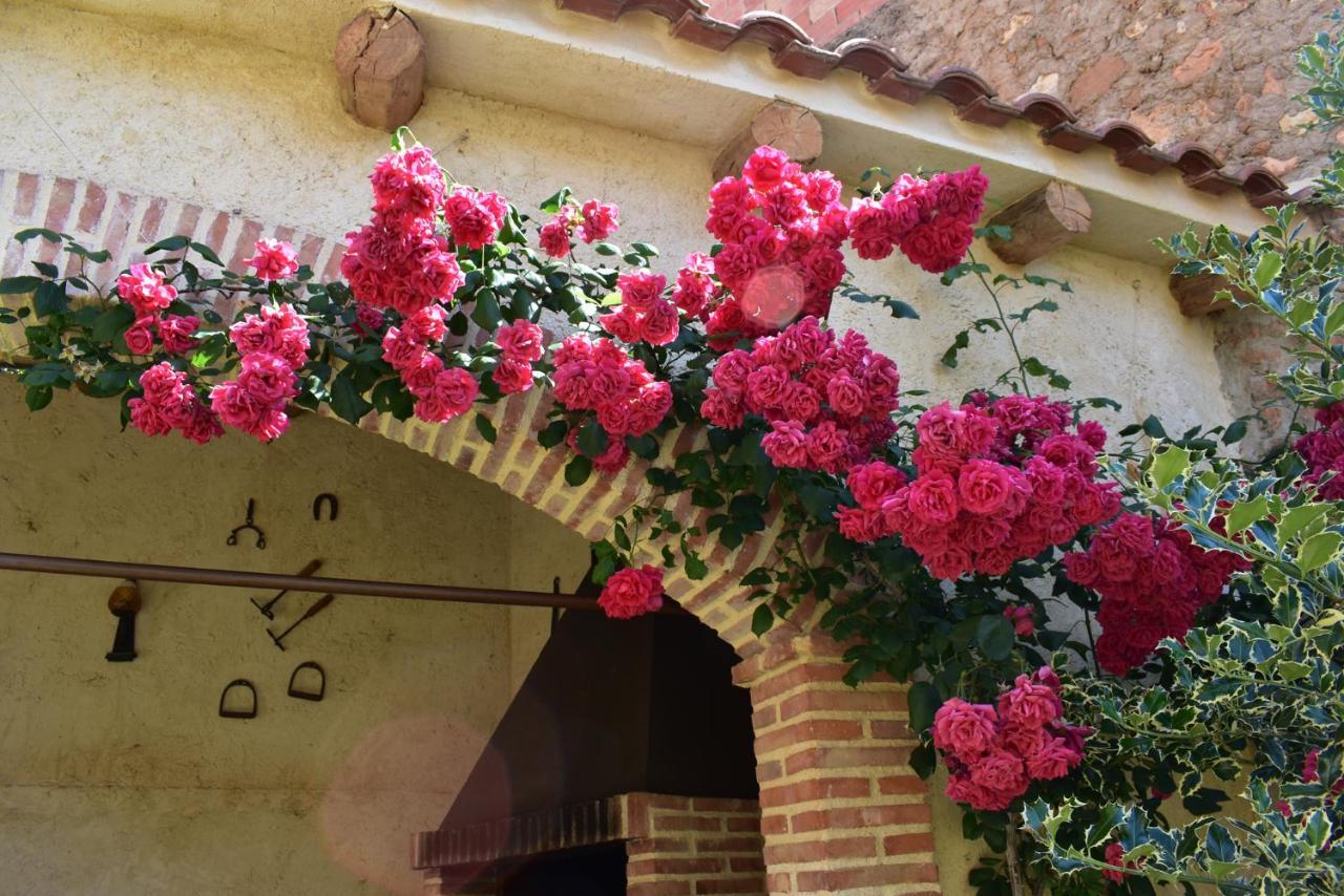 La Casa Del Azafran Villa Villanueva del Rebollar de la Sierra Exteriör bild